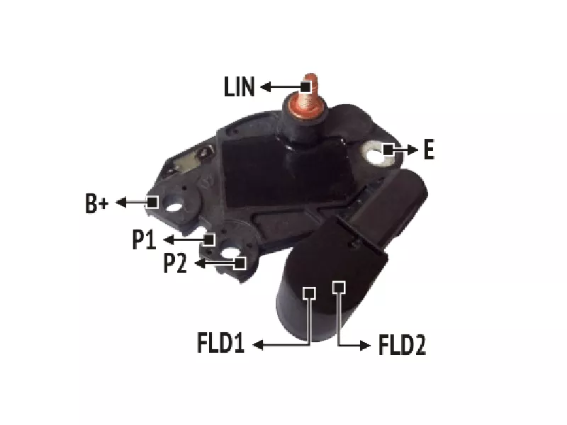 RNV 593948          
